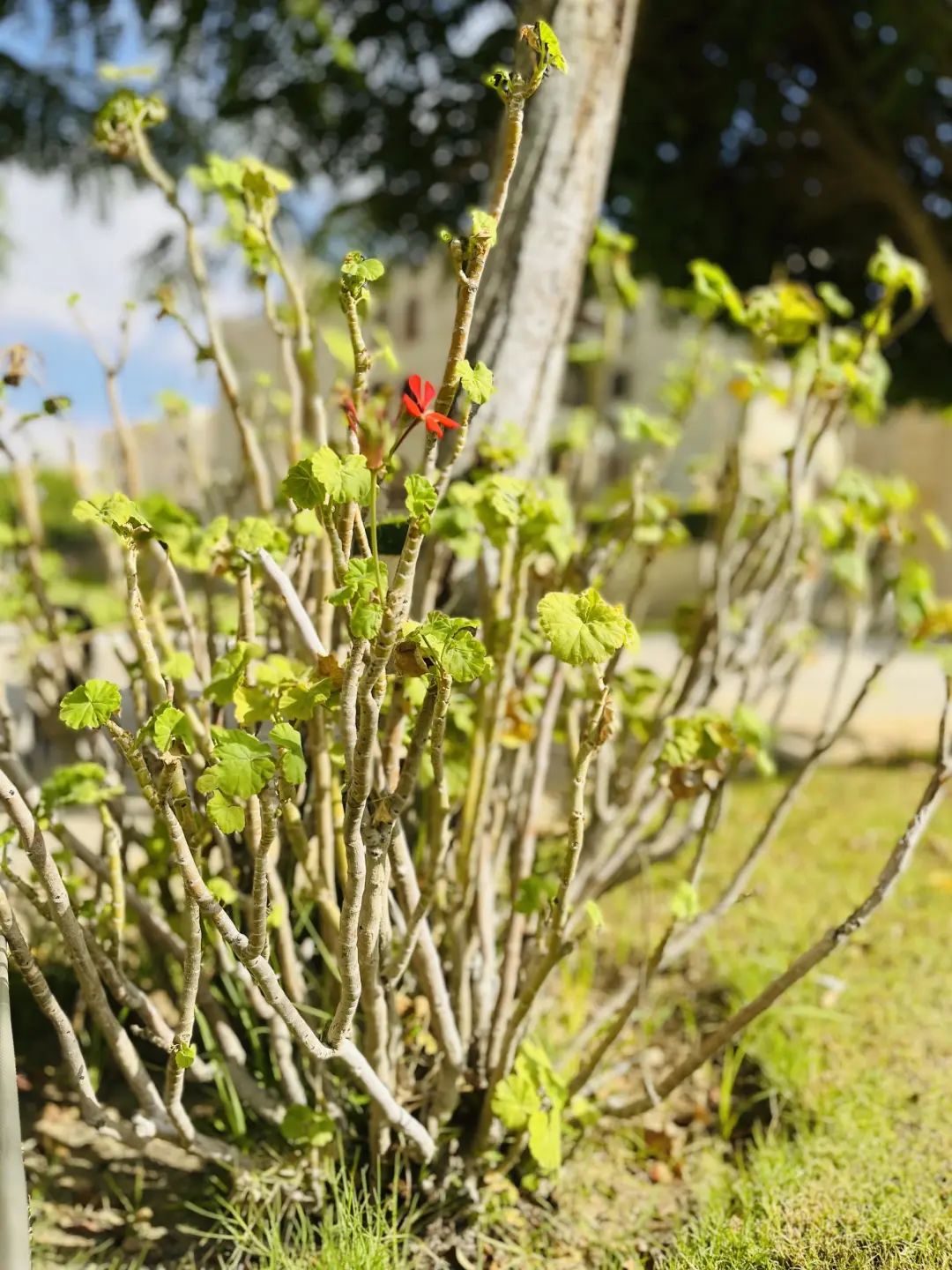 老妇喷水一区二区三区_老妇喷水一区二区三区_老妇喷水一区二区三区