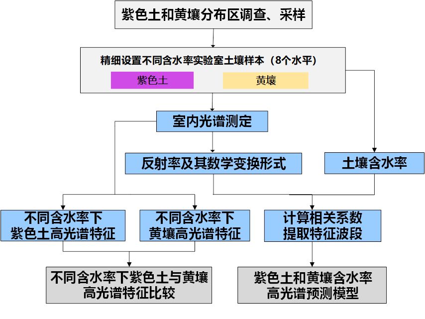 国色天香精品卓越拓展_天香国色酒多少钱_国色天香品牌