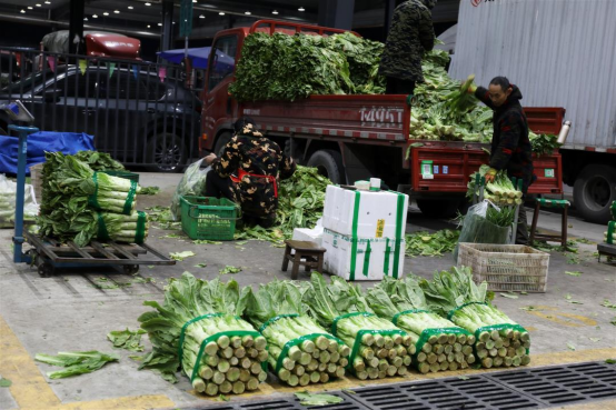 菜市场老板的大萝卜_萝卜菜价格_萝卜青菜市场管理有限公司