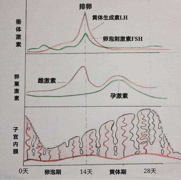 人人操碰_色情人人碰人人操_人人趋碰