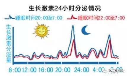 鸡妈妈保护鸡宝宝_宝妈吃12岁儿子的鸡有影响吗_哺乳期吃鸡宝宝会胀气吗