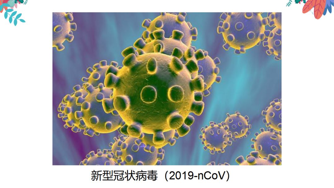 大象回家在路上视频_大象回家视频一二_大象回家路线图