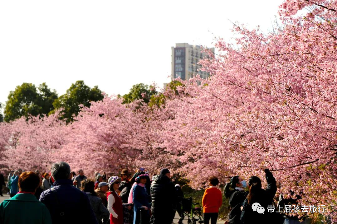 入禽太深免费视频8_免费m∨视频_免费/视频