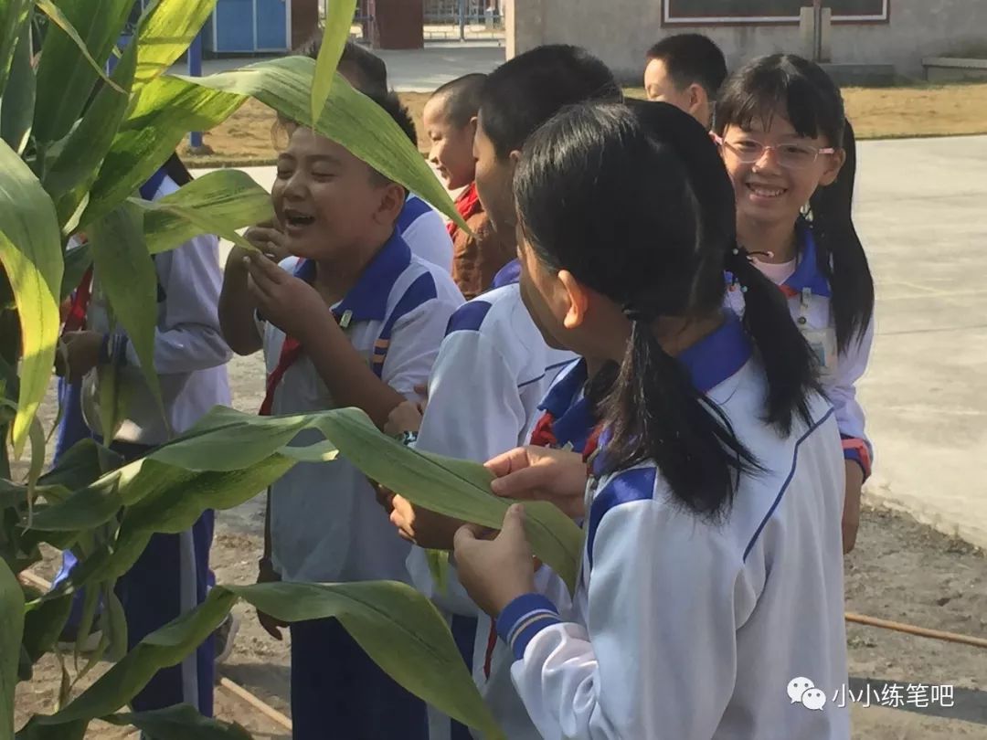 一个在上面吃一个在下也㖭_一个在上面吃一个在下也㖭_一个在上面吃一个在下也㖭