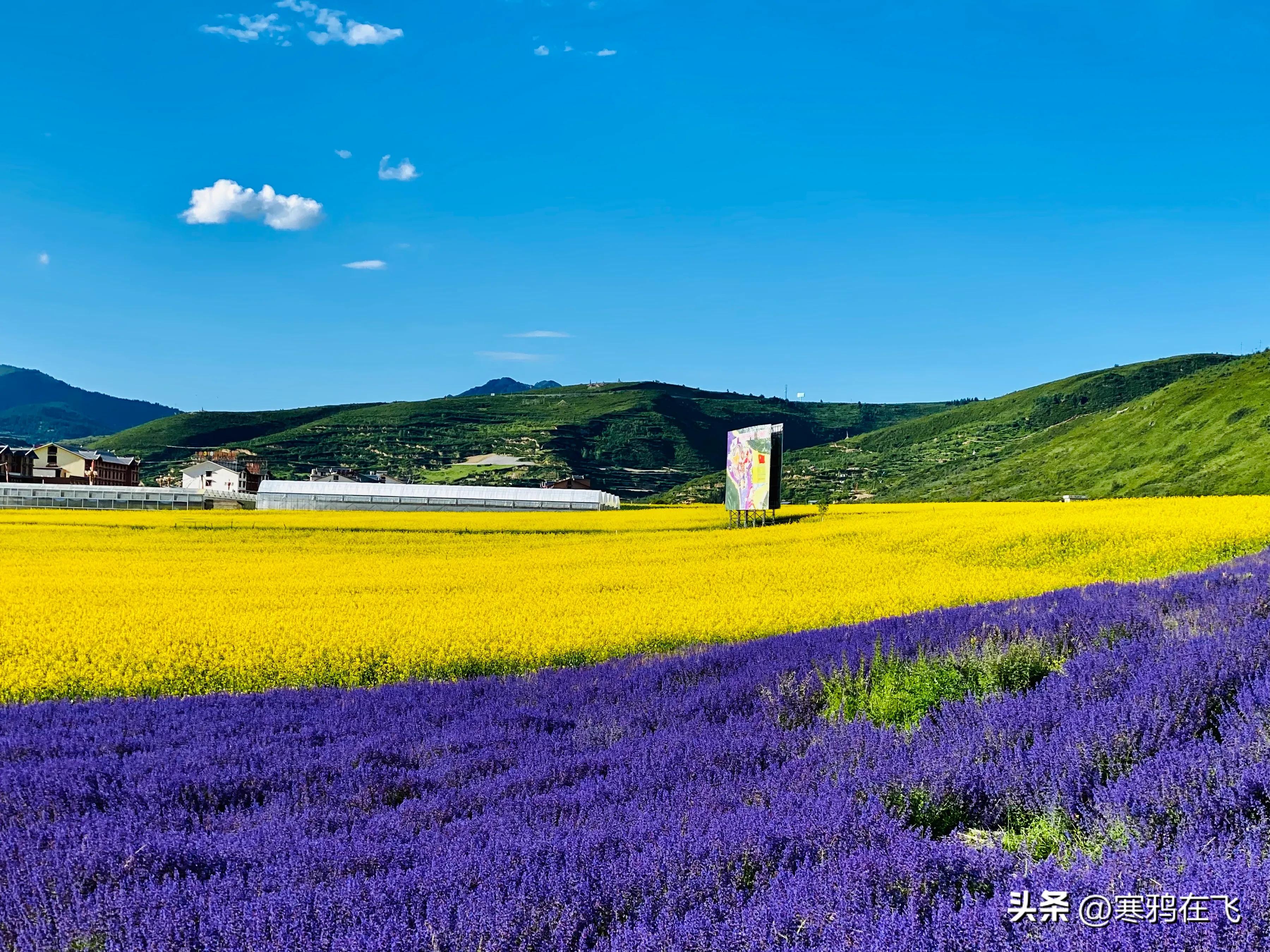 导航天堂岭自架_导航天堂寨风景区停车场_天堂导航