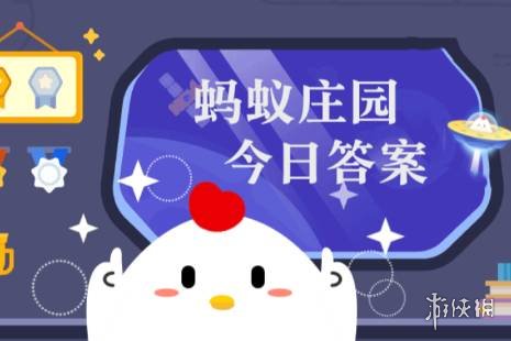 小鸡最新答题答案_2021最新小鸡答案_今天小鸡的答案最新