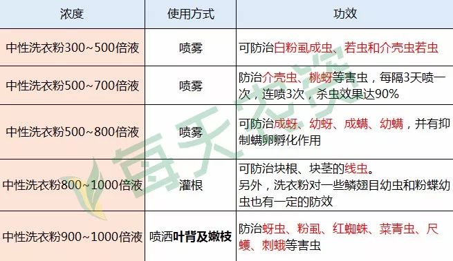 草莓榴莲丝瓜向日葵18注意_丝瓜榴莲向日葵草莓秋葵_向日葵丝瓜榴莲