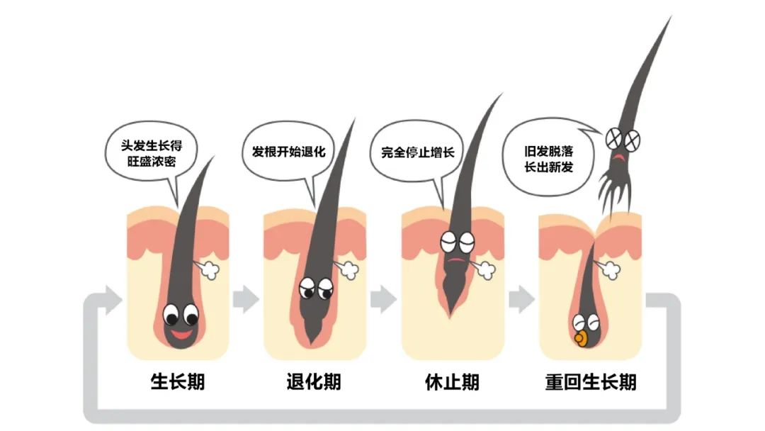 又粗又硬又爽_头发粗多硬女生发型_头发粗多硬女生短发型