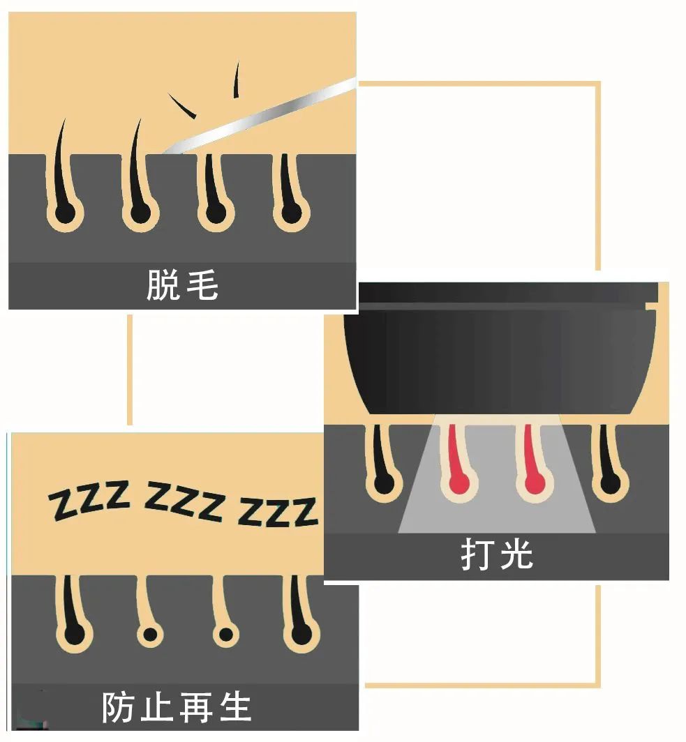 又粗又硬又爽_头发粗多硬女生发型_头发粗多硬女生短发型