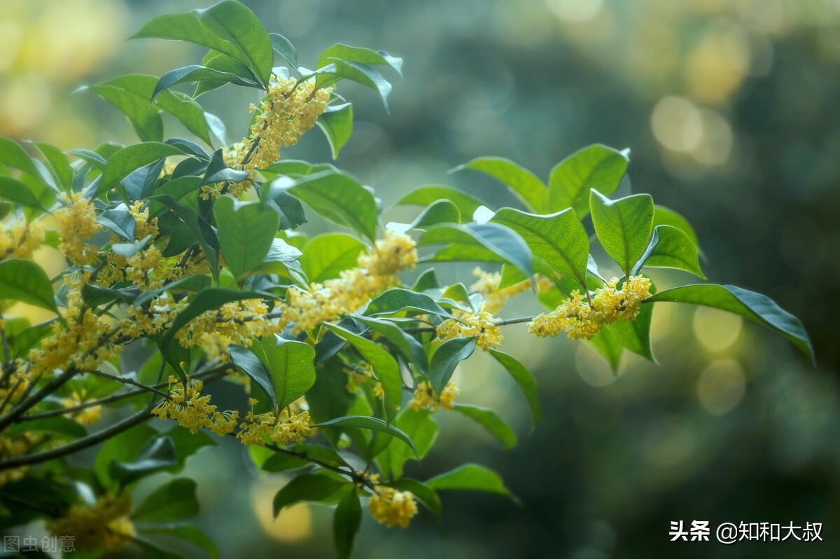 朋友400字作文_吗吗的朋友-4_朋友40岁生日幽默祝福语