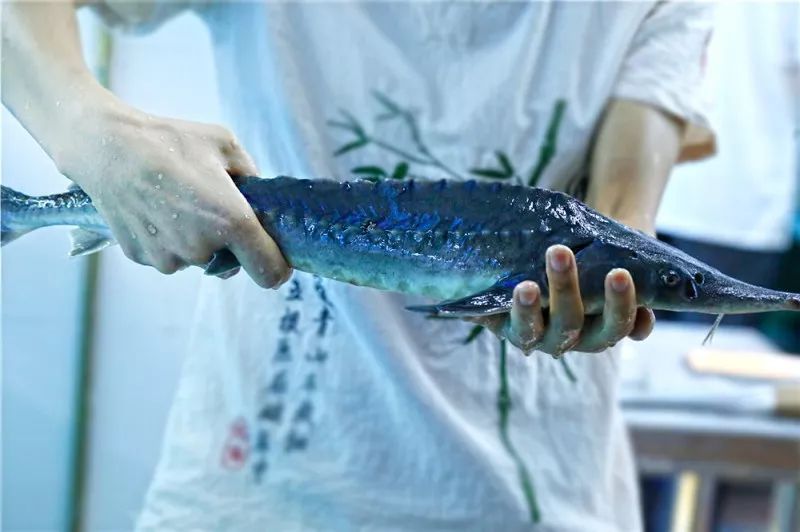 餐桌下用筷子狂c亲女高辣_餐桌下用筷子狂c亲女高辣_餐桌下用筷子狂c亲女高辣