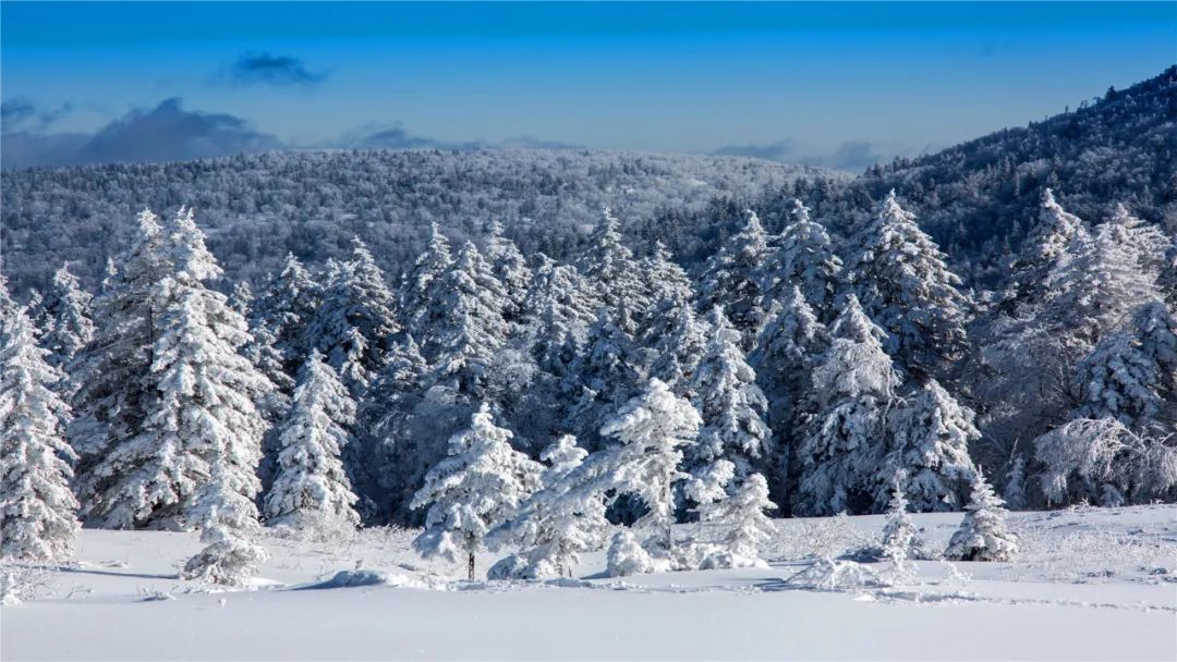 导航天堂陵园_导航天堂寨风景区停车场_天堂导航