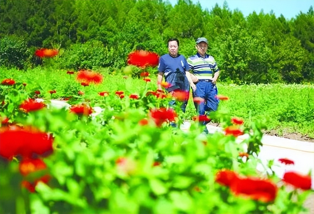 导航天堂陵园_天堂导航_导航天堂寨风景区停车场