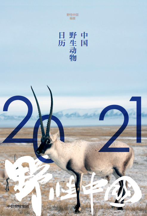 亚洲天2021成码精在_亚洲成亚洲成网_亚洲天码中午