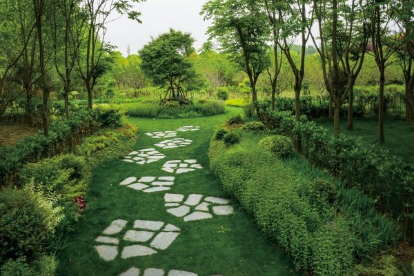 樱花草在哪里_樱花草四区区三区四区_樱花草地图片