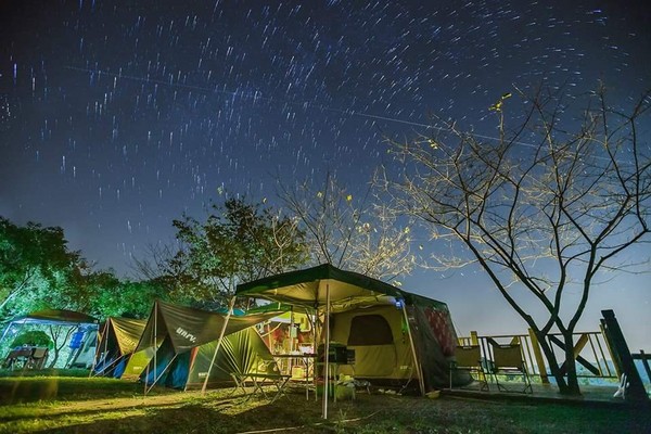 樱花草地图片_樱花草地_樱花草四区区三区四区