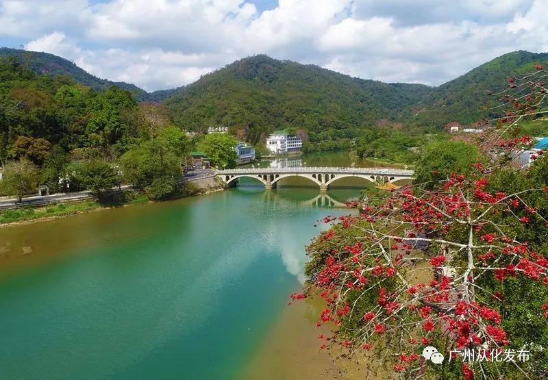 樱花草地_樱花草地图片_樱花草四区区三区四区