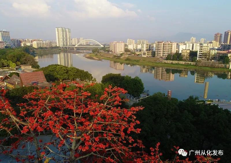 樱花草地图片_樱花草四区区三区四区_樱花草地