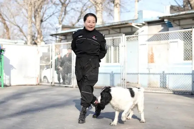 警察训练警犬视频_警察训练营警犬_把男警察训练成警犬