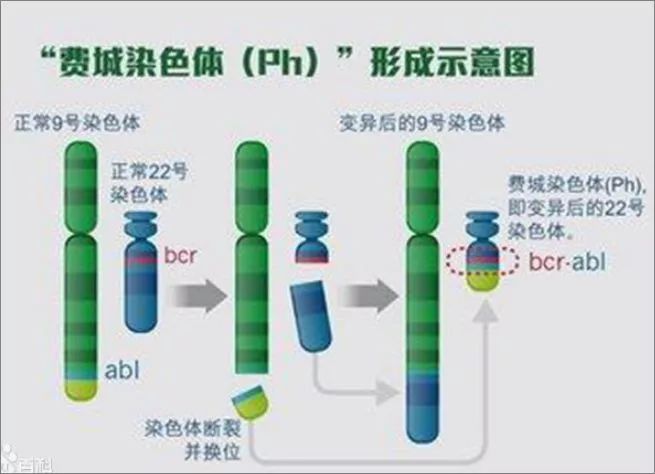 久c久狼人_狼人干练综合在线久草_久狼人视频