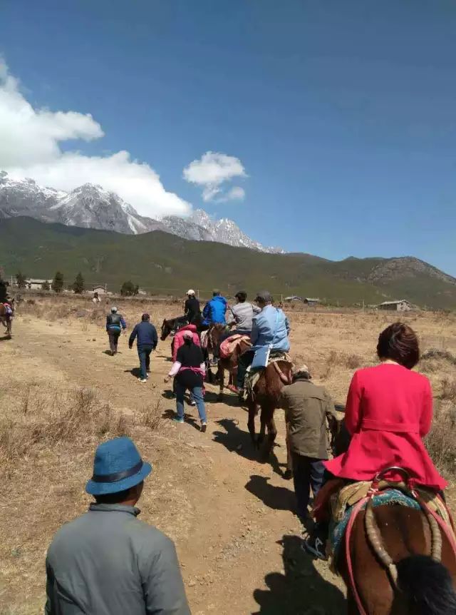 含蓄草传媒每日免费三次_含蓄草传媒app下载_dnf远古每日完成2次