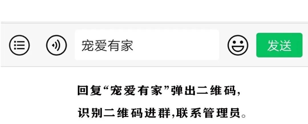 狗狗体内有异物怎么办_狗狗的大东西在身体里_狗狗有东西在我身体里面