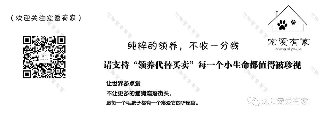 狗狗有东西在我身体里面_狗狗身体有异物会是什么症状_狗狗的大东西在身体里