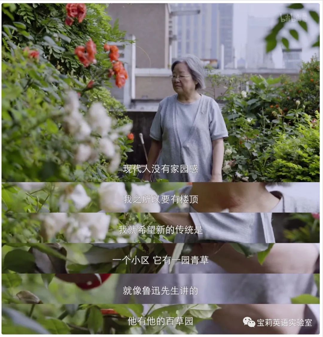 精效中字普效中字_百草影城_百草影城中字